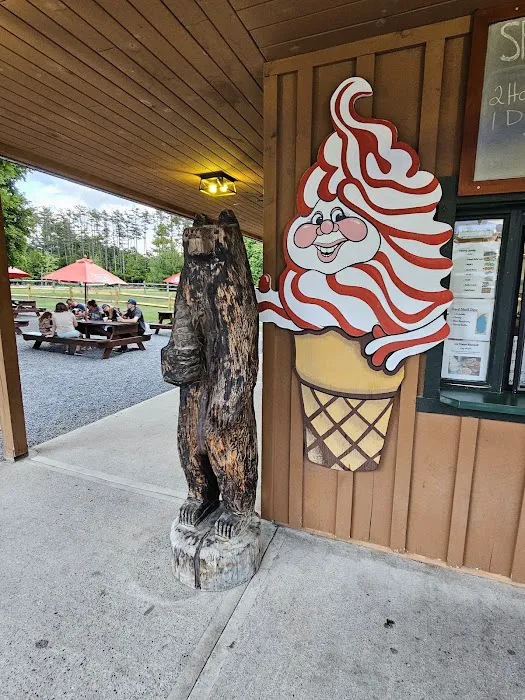 Bon's Ice Cream & Adirondack Miniature Golf Picture 7