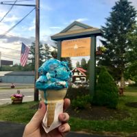 Speculator Creamery ico