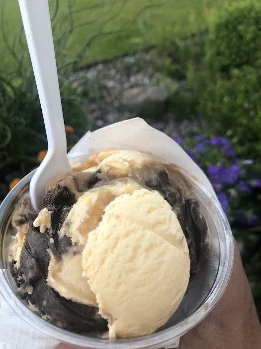 Hayner's Ice Cream and Country Store Picture 1