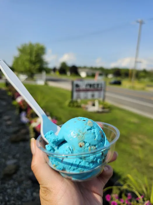 Hayner's Ice Cream and Country Store Picture 9