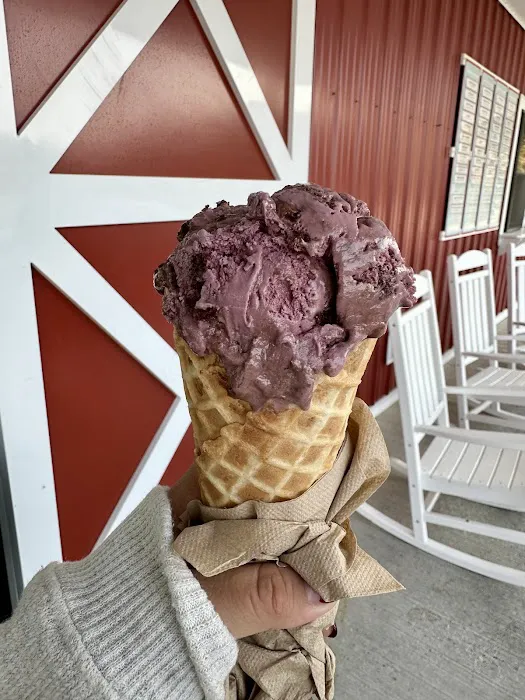 King Brothers Dairy Picture 2