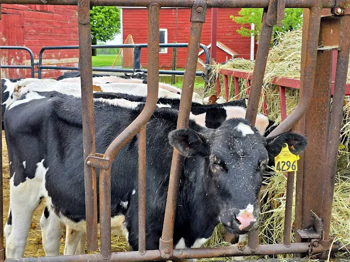 King Brothers Dairy Picture 9