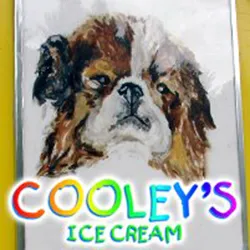 Cooley's Ice Cream Picture 5