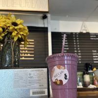 Alif Cafe on the Lake George Beach ico