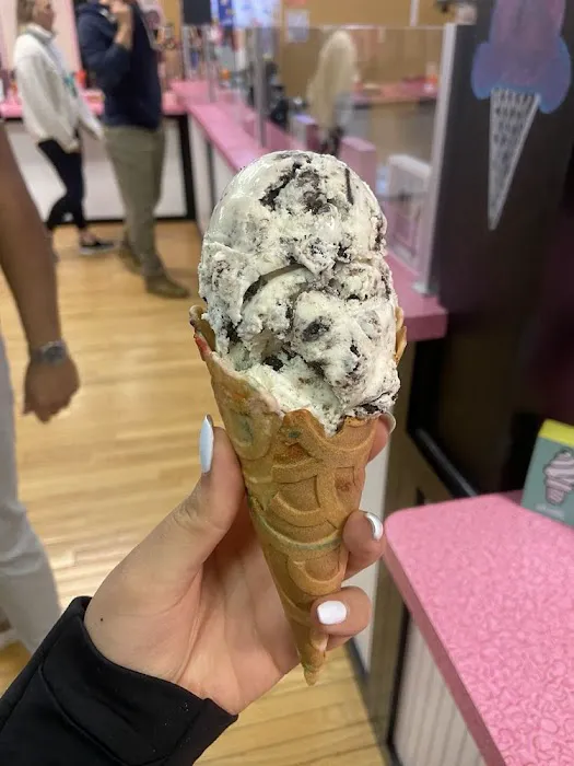 The Dutch Udder Craft Ice Cream Picture 2