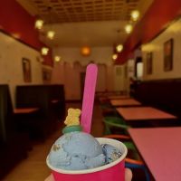 The Dutch Udder Craft Ice Cream ico