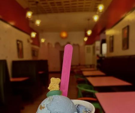 The Dutch Udder Craft Ice Cream