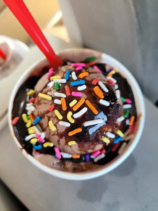Bruster's Real Ice Cream Picture 3
