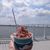 Cone Island Ice Cream Shoppe ico