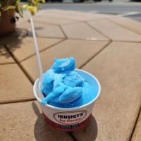 The Ice Cream Place ico