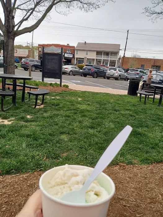 The Salted Scoop Picture 4