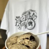 Frog Town Ice Cream ico