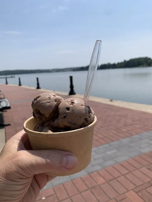 Frog Town Ice Cream Picture 10