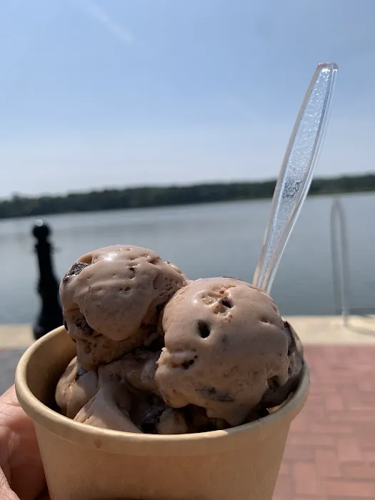 Frog Town Ice Cream Picture 9