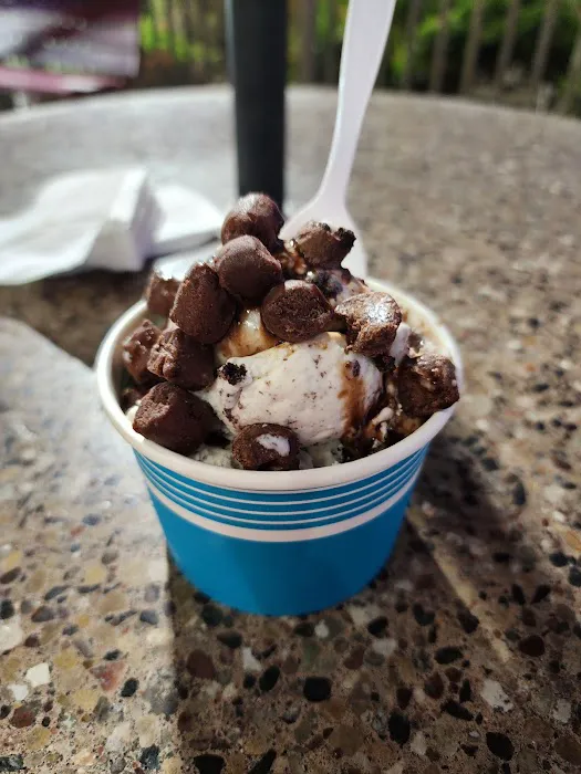 Dairy Fresh Ice Cream Picture 3