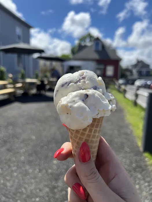Berkshire Cone Picture 6
