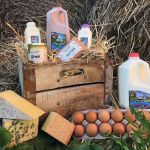 High Lawn Farm