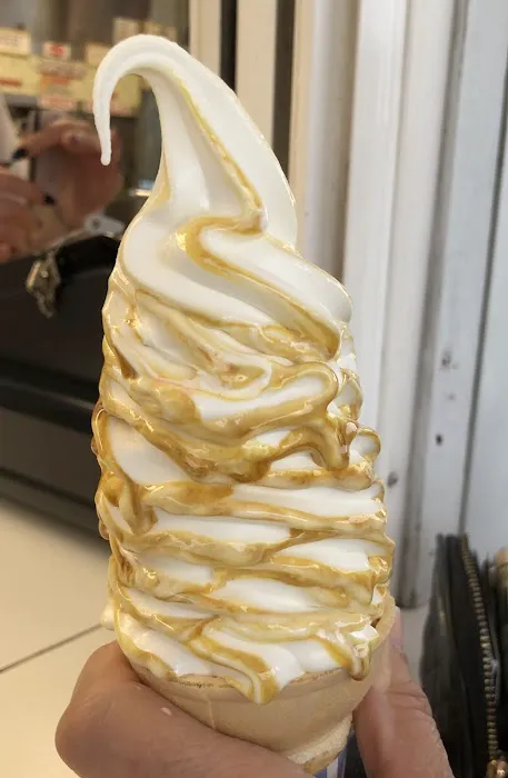 Dairy Cone Picture 4