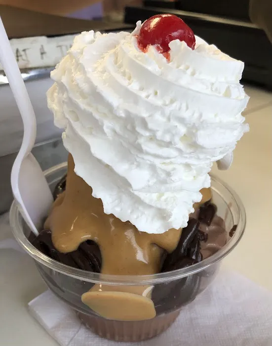 Dairy Cone Picture 10