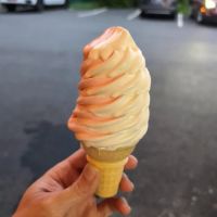 Scoops N More ico