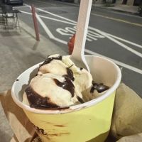 Van Leeuwen Ice Cream ico