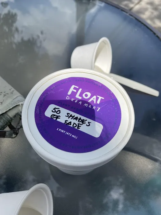 Float Dreamery Picture 3