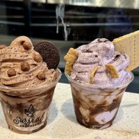 Surreal Creamery ico