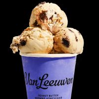 Van Leeuwen Ice Cream ico