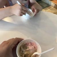 Novellas Creamery ico