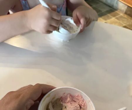 Novellas Creamery