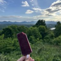 Bubba's Creamery ico