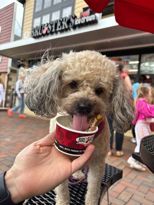 Bruster's Real Ice Cream Picture 9