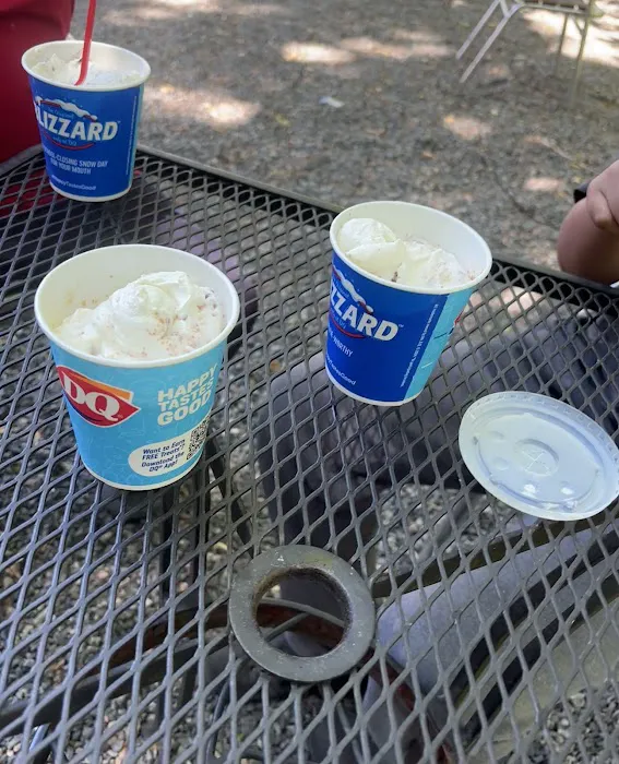 Dairy Queen (Treat) Picture 8