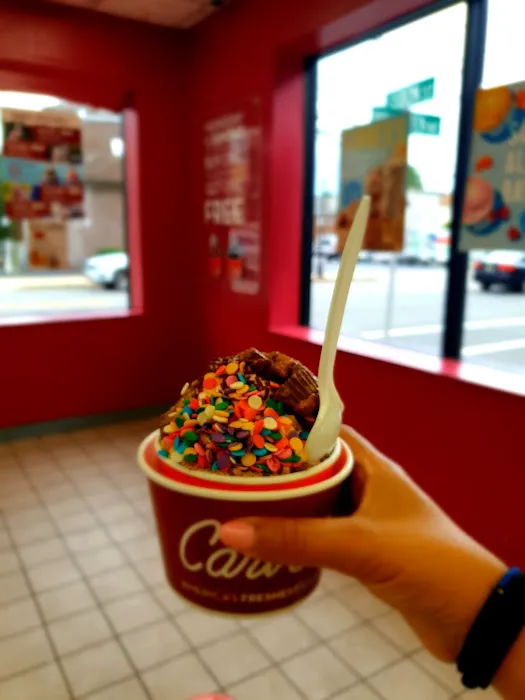 Carvel Picture 5