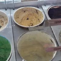G&G Ice Cream ico