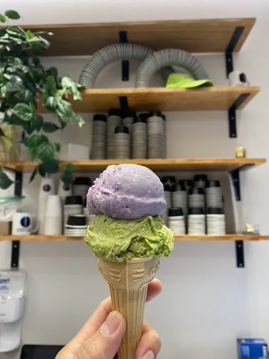 Jersey & Co. Gelato Picture 2
