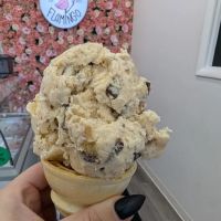 Frozen Flamingo ico