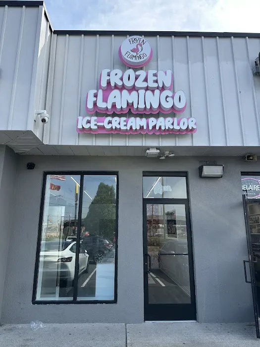 Frozen Flamingo Picture 9