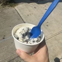 Blue Ocean Ice ico