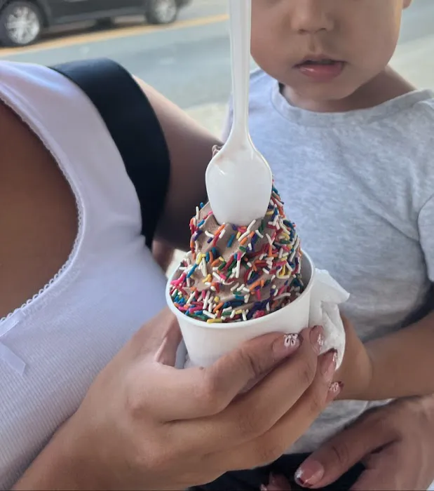 Dairy Inn Ice Cream Picture 2