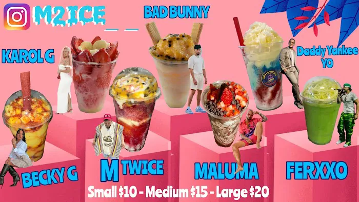 M2ICE Picture 5