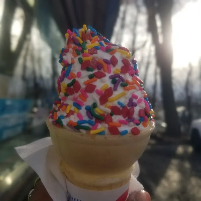 Dairy Queen (Treat) Picture 7