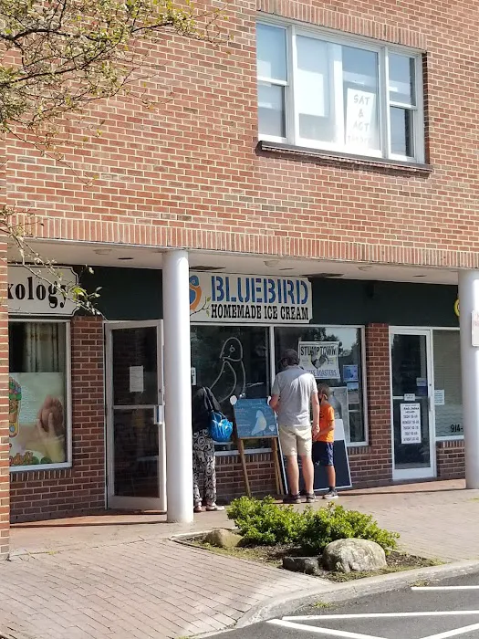 Bluebird Homemade Ice Cream Picture 1