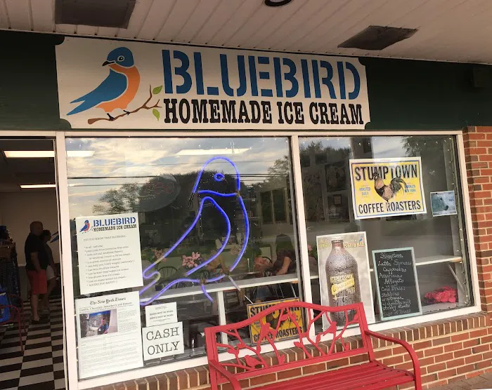 Bluebird Homemade Ice Cream Picture 9