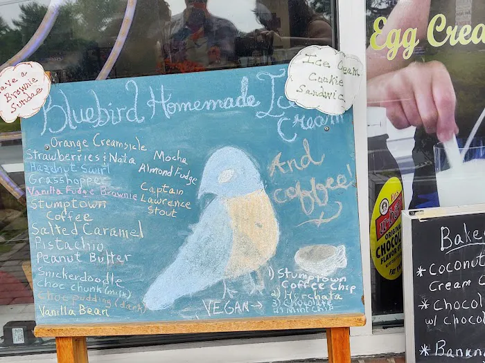 Bluebird Homemade Ice Cream Picture 10