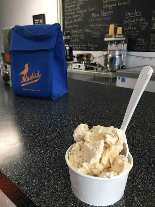 Bluebird Homemade Ice Cream Picture 5