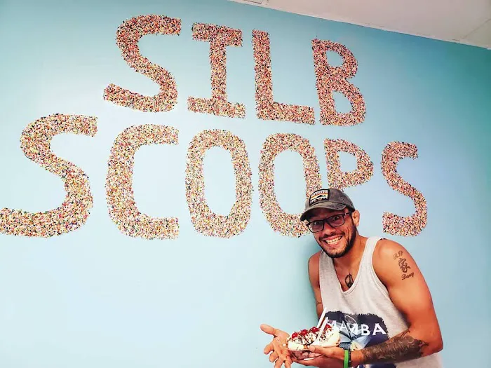 Silb Scoops LLC Picture 1