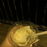 Adirondack Ice Cream ico