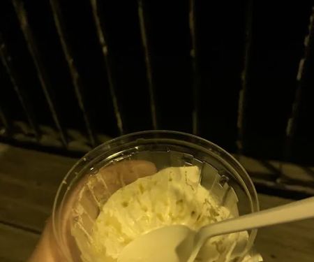 Adirondack Ice Cream