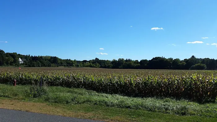 Sycaway Creamery Inc Picture 2